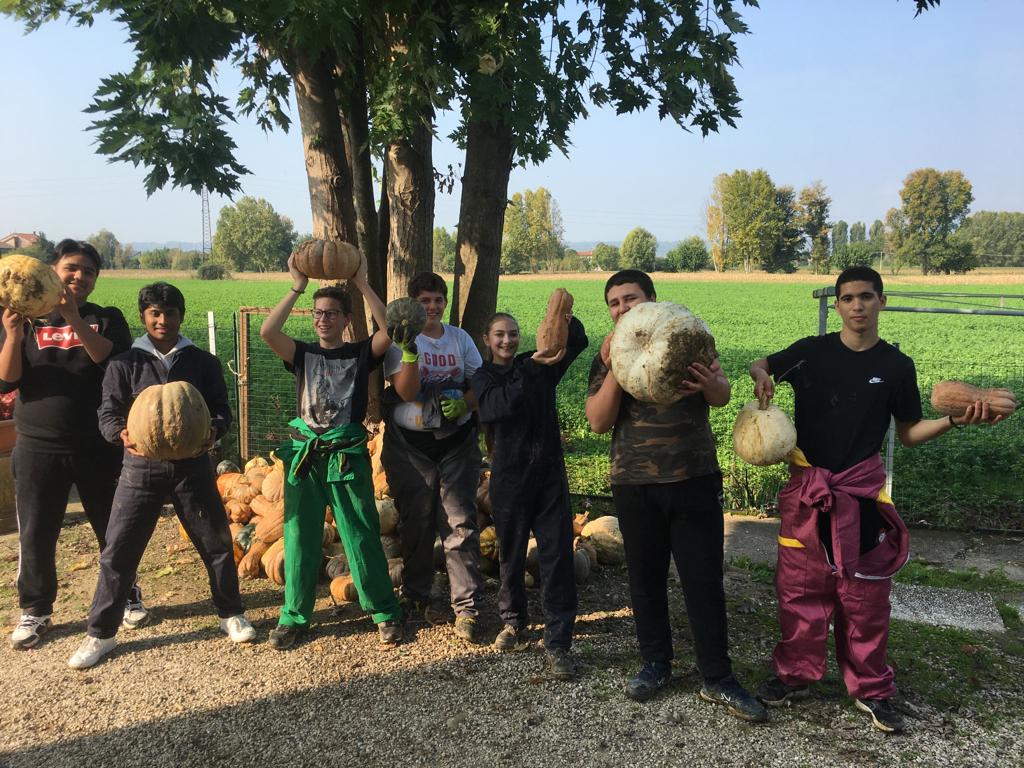 ENGIM  Vicenza settore AGRICOLO